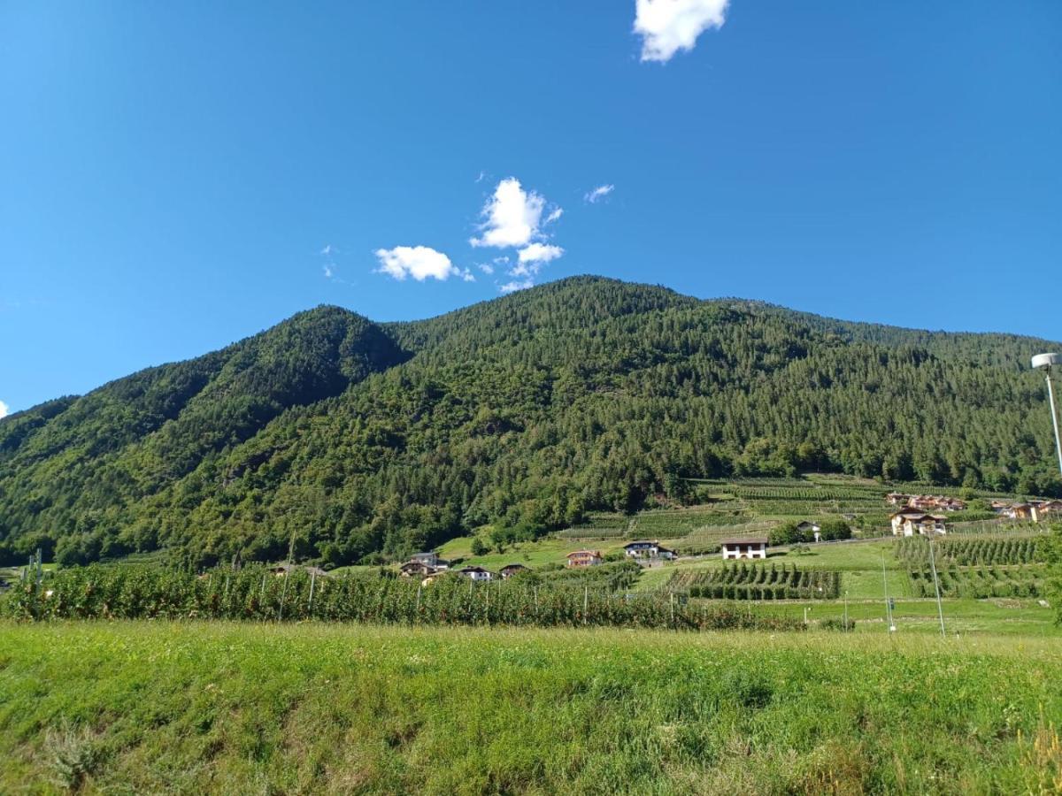 MalèZia Pia'S House公寓 外观 照片